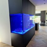 Standort von Aquarien Küche integriert