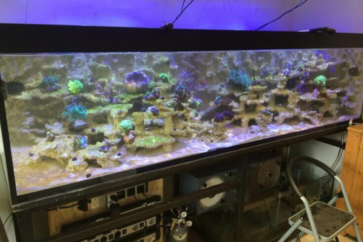 Standzeit ca. 4 Wochen