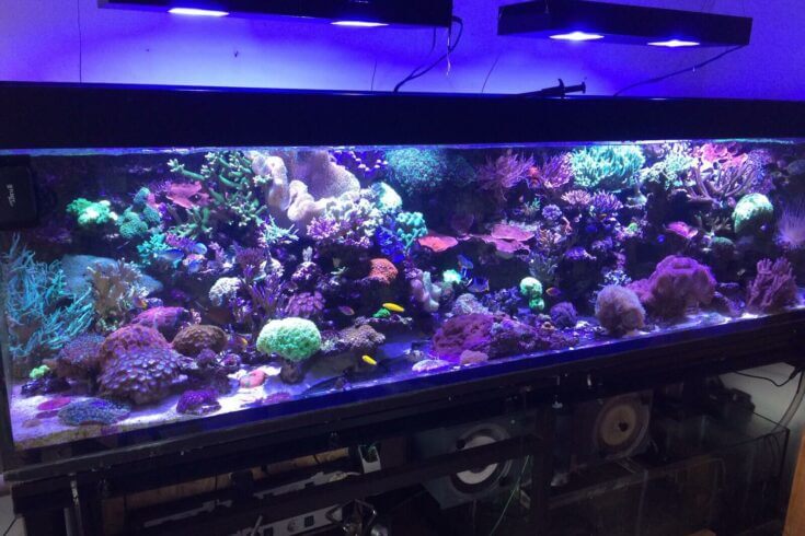 Standzeit ca. 12 Monate vollbesetzt