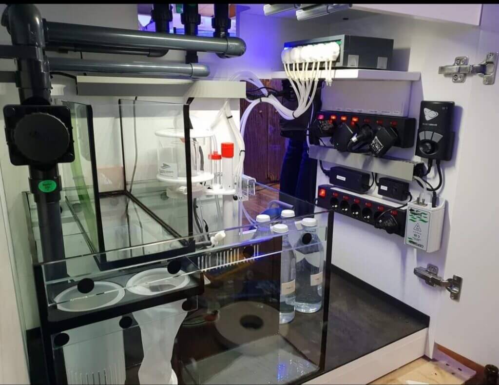 Einlaufphase Filterbecken Starten von der Technik