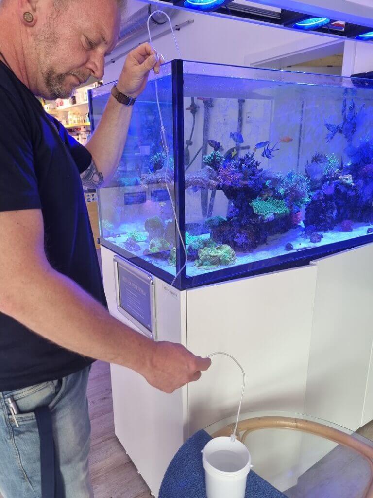 Fische an neues Wasser gewöhnen mit Akklimatisierungskit