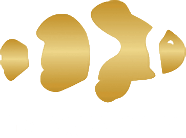 HP Aquaristik Blog